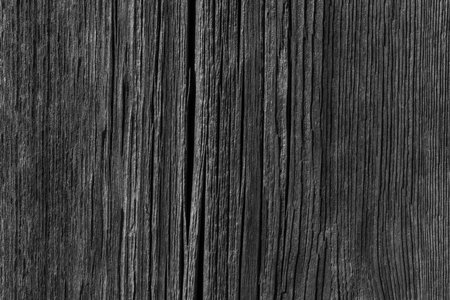 black and white photo of old wooden board textureの写真素材