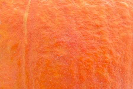 abstract natural background: close up of orange peel of pumpkin textureの写真素材