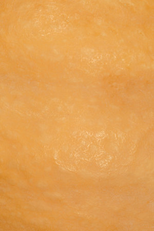 abstract natural background: close up of orange pumpkin skin texture