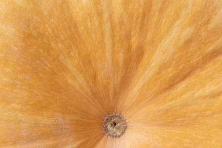 abstract natural background: close up of ripe pumpkin skin textureの写真素材