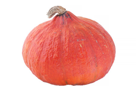 ripe red kuri squash isolated on white backgroundの写真素材