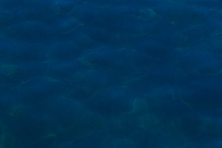 abstract natural background: blue calm water of seaの写真素材