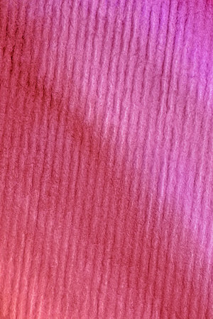 abstract background: close up of purple strokes on striped watercolor paperの写真素材