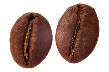close up of two arabica coffee beans isolated on white backgroundの写真素材