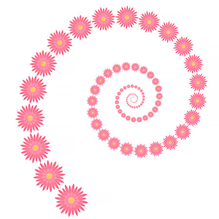 abstract elegant spiral made of purple with orange flowers and isolated on white backgroundの写真素材