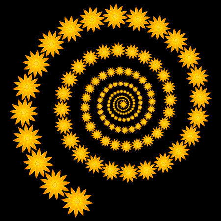 abstract spiral made of bright orange flowers with small flower in center against black backgroundの写真素材