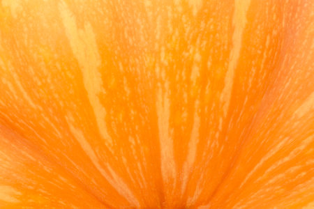 abstract natural autumnal background: close up of orange pumpkin skin textureの写真素材