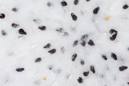 abstract background: close up of pulp of dragon fruit textureの写真素材