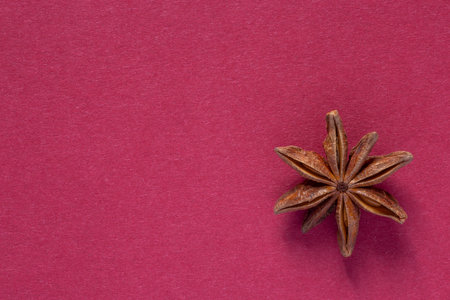 holiday background for Christmas card: close up of star anise seed on maroon cardboardの写真素材