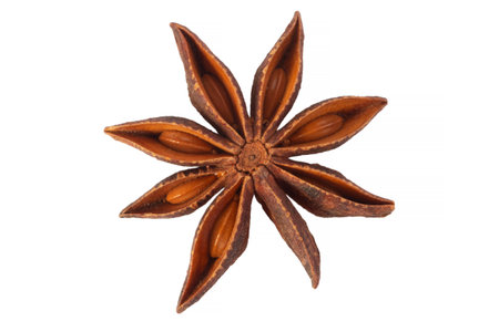 star anise seed isolated on white backgroundの写真素材