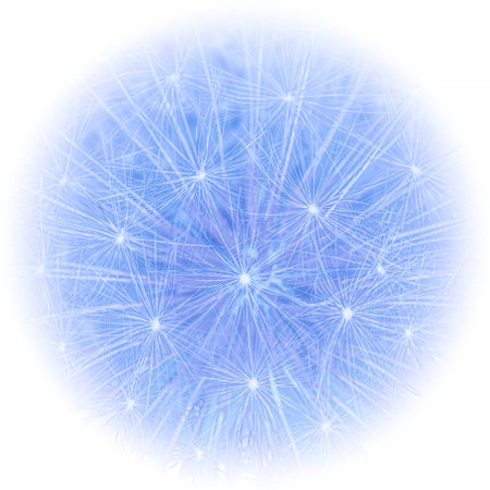 abstract square floral card design: close up of dandelion flower with white rounded frameの写真素材