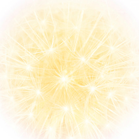 abstract square floral card design: close up of yellow dandelion flowerの写真素材