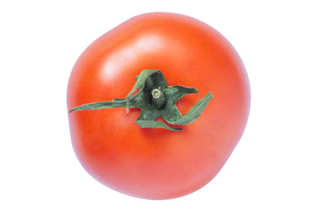 close up of ripe red tomato isolated on white backgroundの写真素材