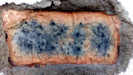 Pictured background with bricks and cement dayの写真素材