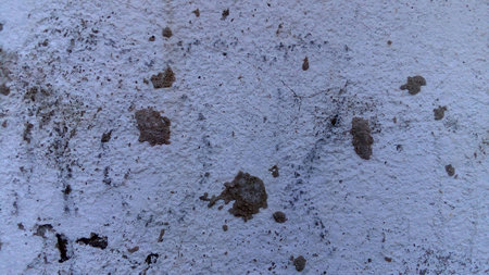 Pictured on a white concrete wall backgroundの写真素材