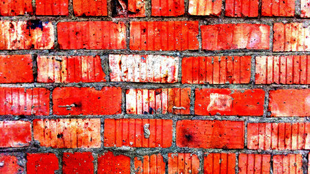 The picture shows a brick wall background