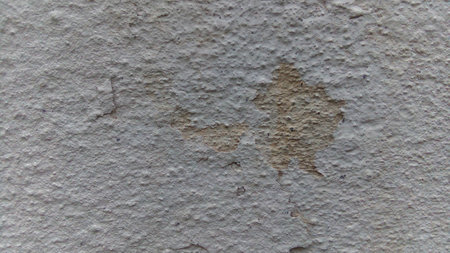 Pictured on the concrete wall backgroundの写真素材