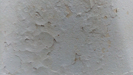 Pictured on a white concrete wall backgroundの写真素材