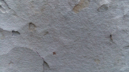 Pictured on a white concrete wall backgroundの写真素材