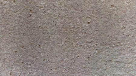 Pictured on a white concrete wall backgroundの写真素材