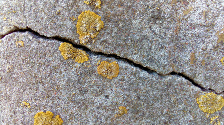 Pictured on a white concrete wall backgroundの写真素材