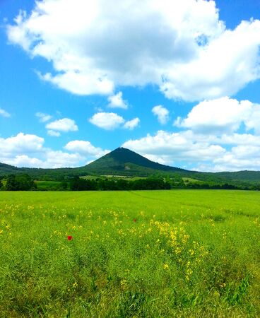 Summer in the mountainsの写真素材