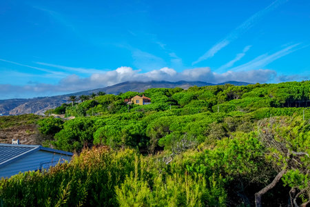 Mountain`s green forest with beautiful clouds and housesの写真素材