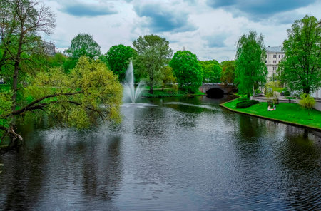 Foggy pond in Latvia with green treesの写真素材