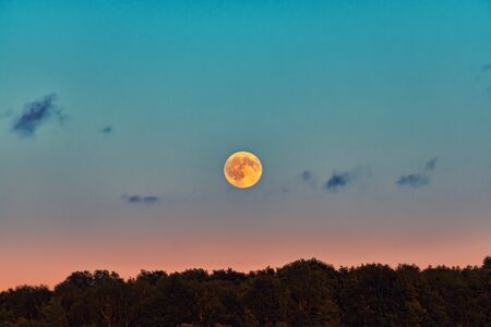 Full moon over the horizon in the evening skyの写真素材