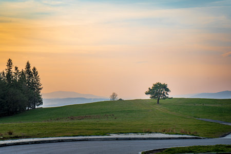 Beautiful evening landscape of the village. A lone tree stands in a field against the background of sunset colors. A road leads to it.の写真素材