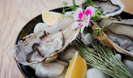 Fresh oysters on a plate with ice and flowers. Restaurantの写真素材
