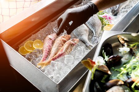 Frozen see food on ice. Shrimps, fish and seashells. Limes and ice over metal backgroundの写真素材