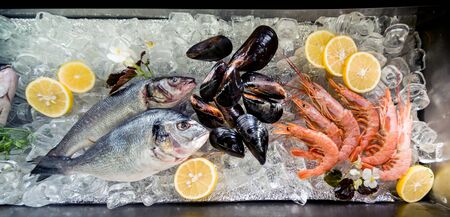 Frozen see food on ice. Shrimps, fish and seashells. Limes and ice over metal backgroundの写真素材