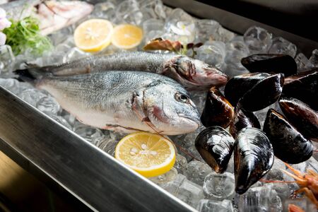 Frozen see food on ice. Shrimps, fish and seashells.の写真素材