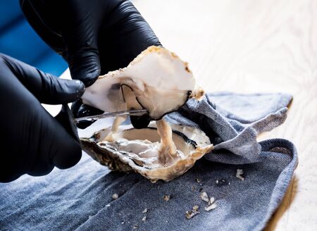 Chef opens a fresh oyster. Dish with open oysters. Restaurant.の写真素材