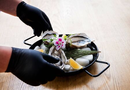 Chef opens a fresh oyster. Dish with open oysters. Restaurant.の写真素材
