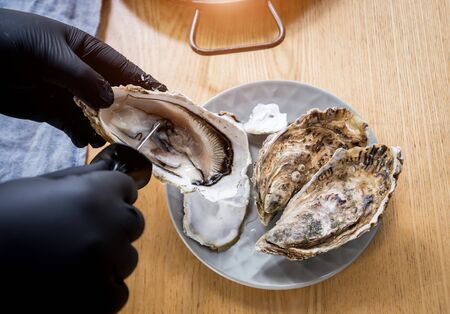 Chef opens a fresh oyster. Dish with open oysters. Restaurant. Backgroundの写真素材