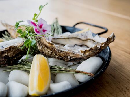 Fresh oysters on a plate with ice and flowers. Restaurant. Backgroundの写真素材