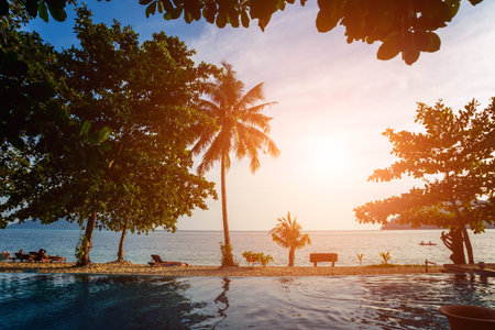 Swimming pool at exotic tropical resort. Exotic garden.