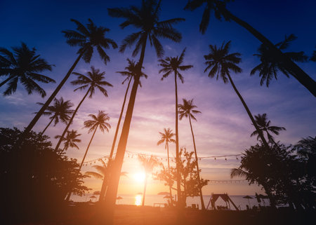 Beautiful sunset at the beach in the tropics. Sky and ocean. Background