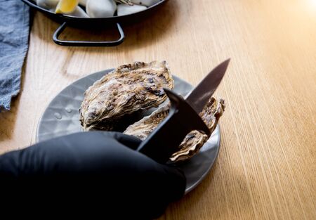 Chef opens a fresh oyster. Dish with open oysters. Restaurant.の写真素材