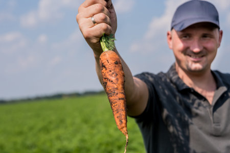 Growing organic carrots. Carrots in the hands of a farmer.