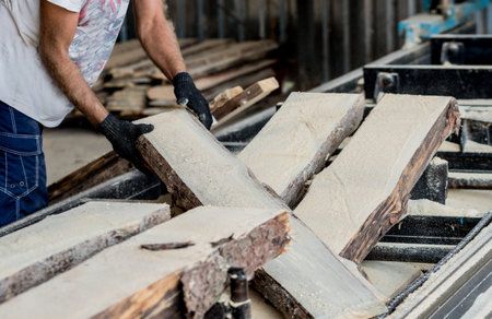 Modern sawmill. Industry sawing boards from logs. Background