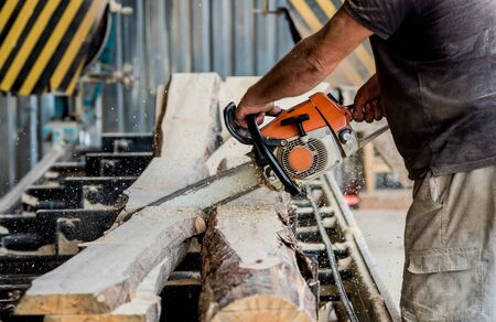 Woodcutter cutting tree with chainsaw on sawmill. Modern sawmill. Industry sawing boards from logs. Backgroundの写真素材