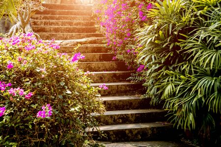 Luxury landscape design of the tropical garden. Beautiful view of landscaped tropical garden.の写真素材