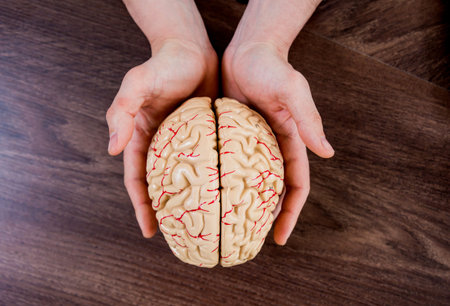 Doctor holding plastic model of human brain. Background