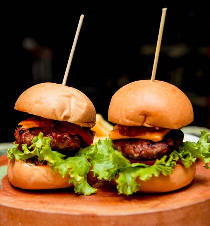 Appetizing hamburger with cheese and vegetables. Barbecue. restaurantの写真素材