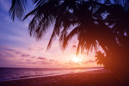 Beautiful tropical beach with palm trees. Sunrises and sunsets. Oceanの写真素材