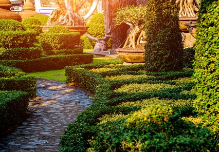 Luxury landscape design of the tropical garden.の写真素材