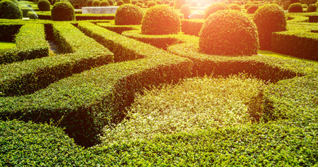 Luxury landscape design of the tropical garden. Beautiful view of landscaped tropical garden.